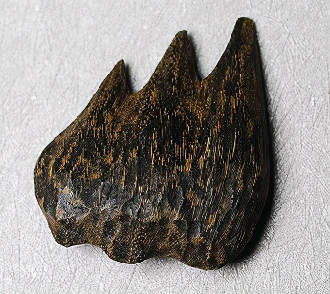 如何种植奇楠沉香不违法,种植奇楠沉香要去壳吗