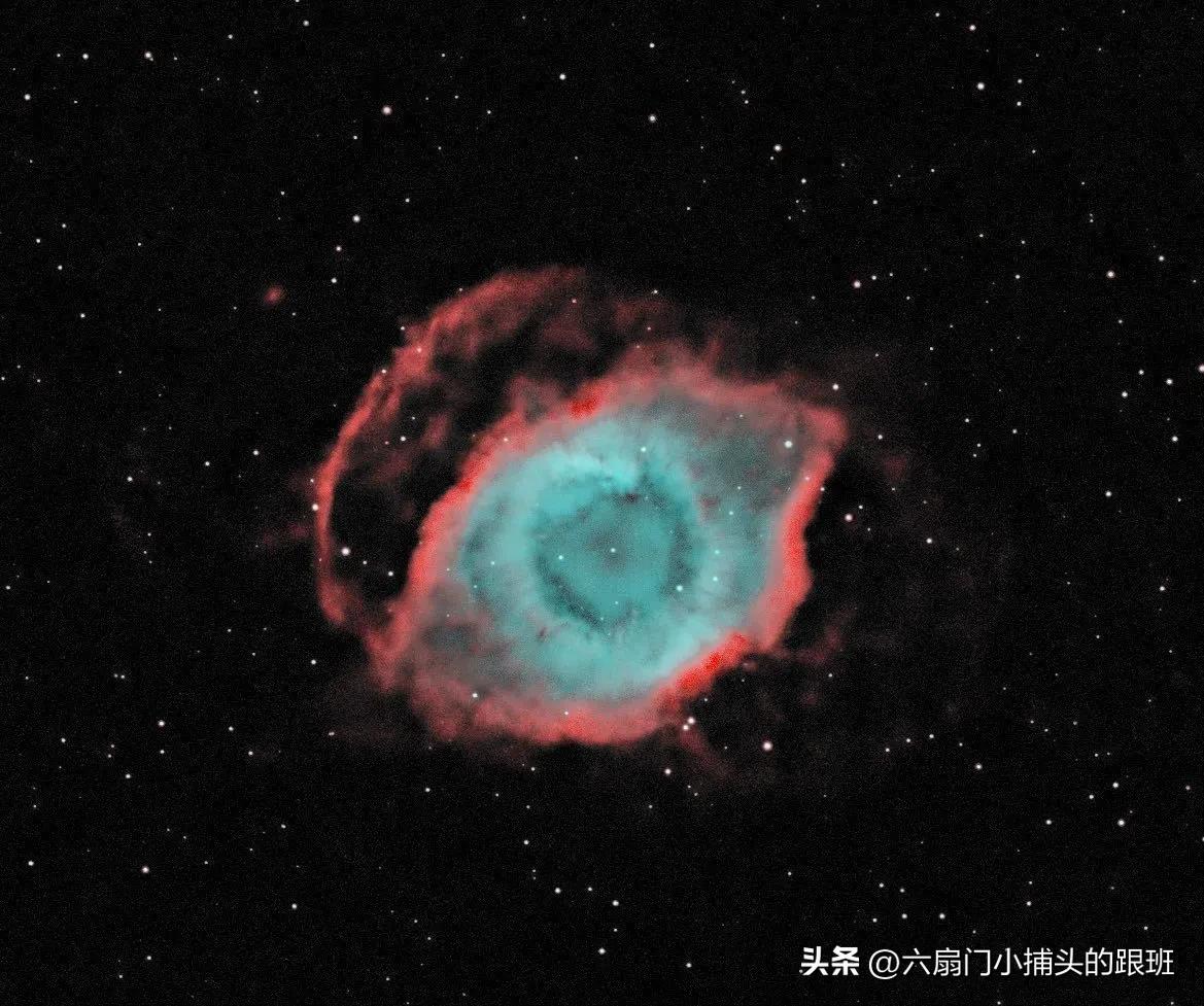 懂懂日记全集,懂懂日记和艾浪笔记