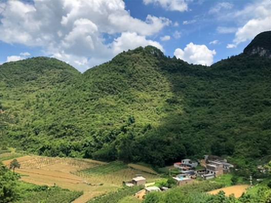 木洞离鱼洞多远,鱼洞和木洞