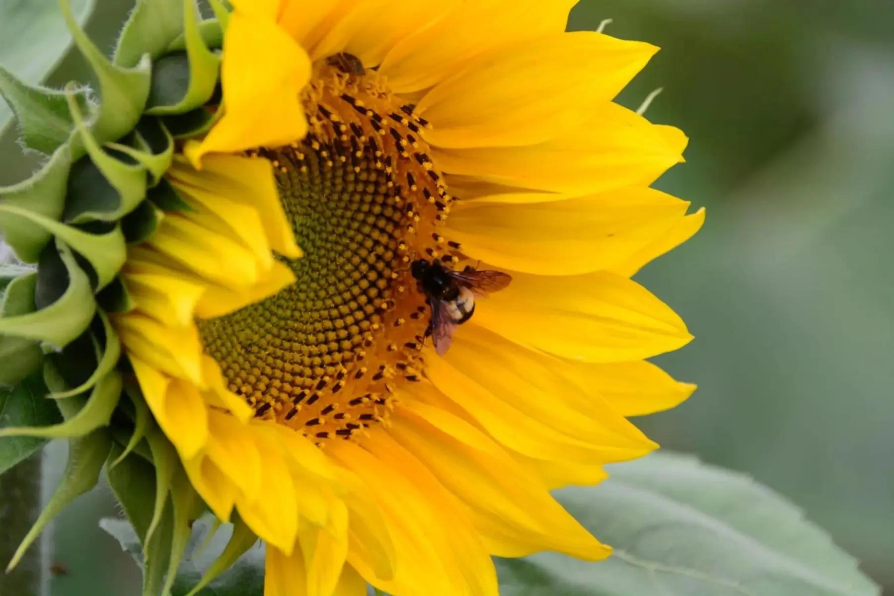 教你开美食小吃店,如何开餐饮外卖小店