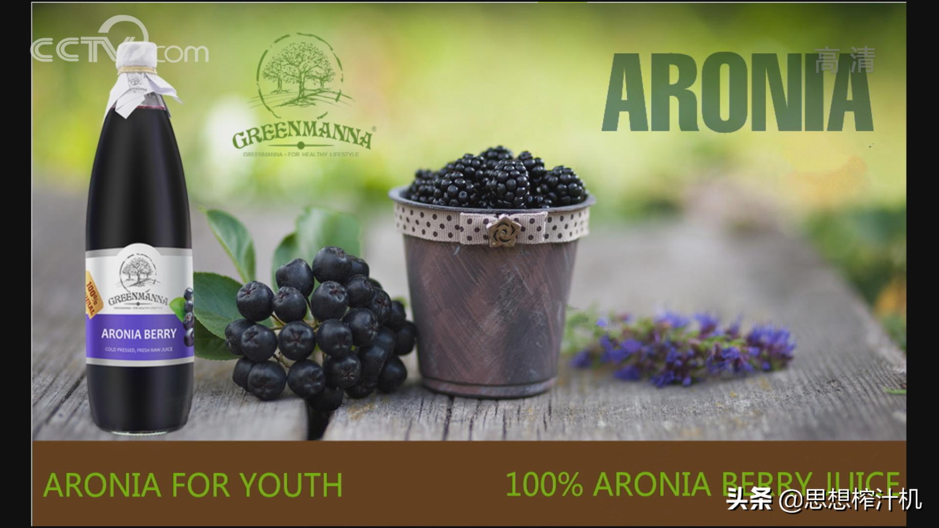 黑果花楸市场前景如何,辽宁黑果花楸苗基地