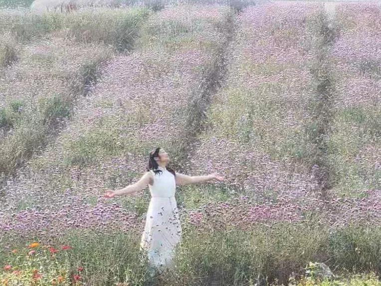 蚌埠禾泉山庄在哪里呀,蚌埠禾泉山庄爬涂山旅游攻略