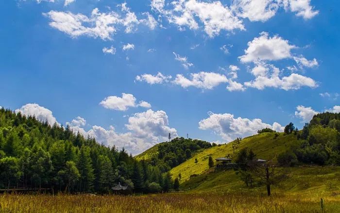 享受阳光享受大自然天然氧吧,值得一去的天然森林氧吧