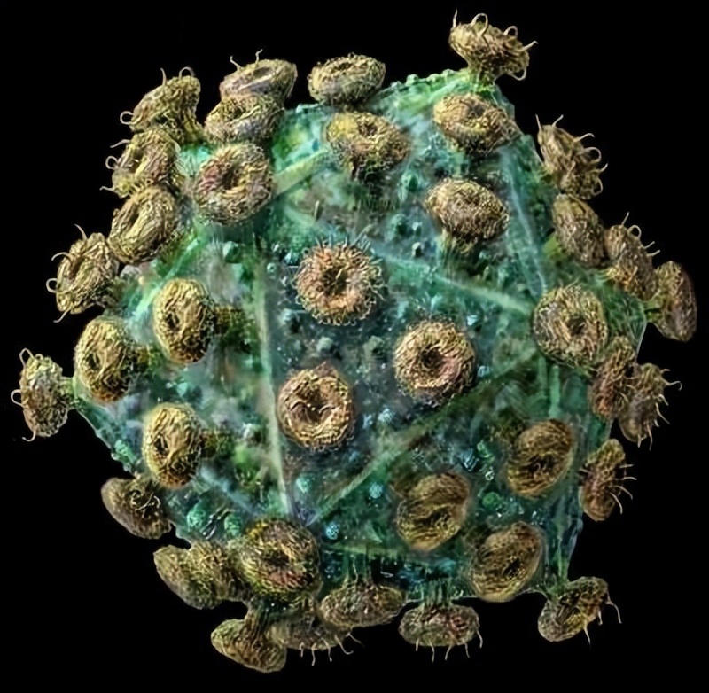 十大毁灭人类的病毒,地球上最强的5种病毒