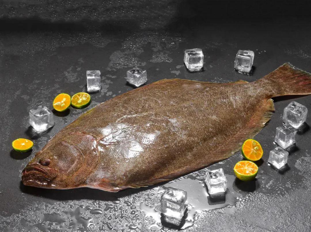 100种常见海鱼大全,常吃的海鱼图片及介绍