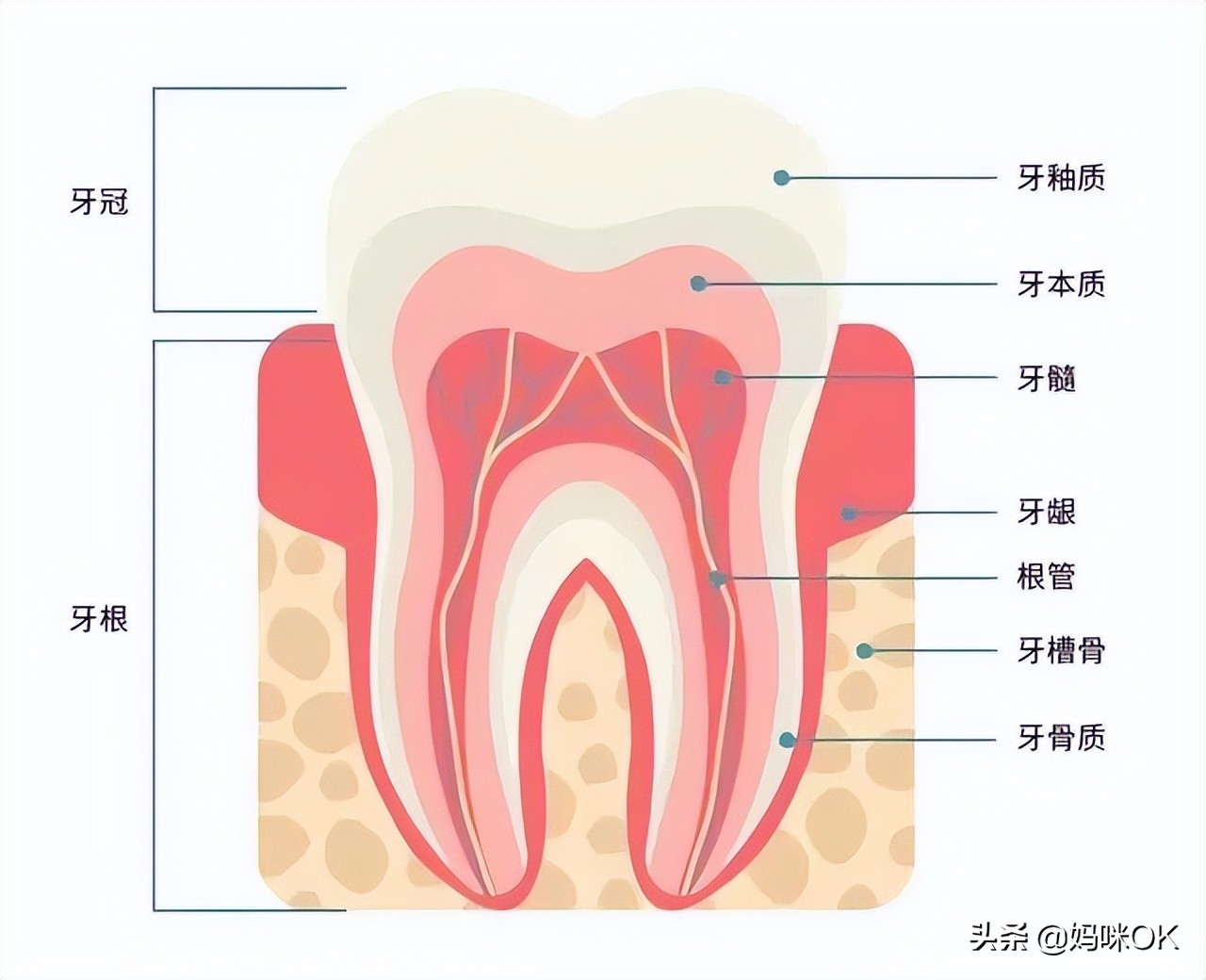 18岁前不能再用门牙吃东西！儿子的这一跤摔得有点惨痛