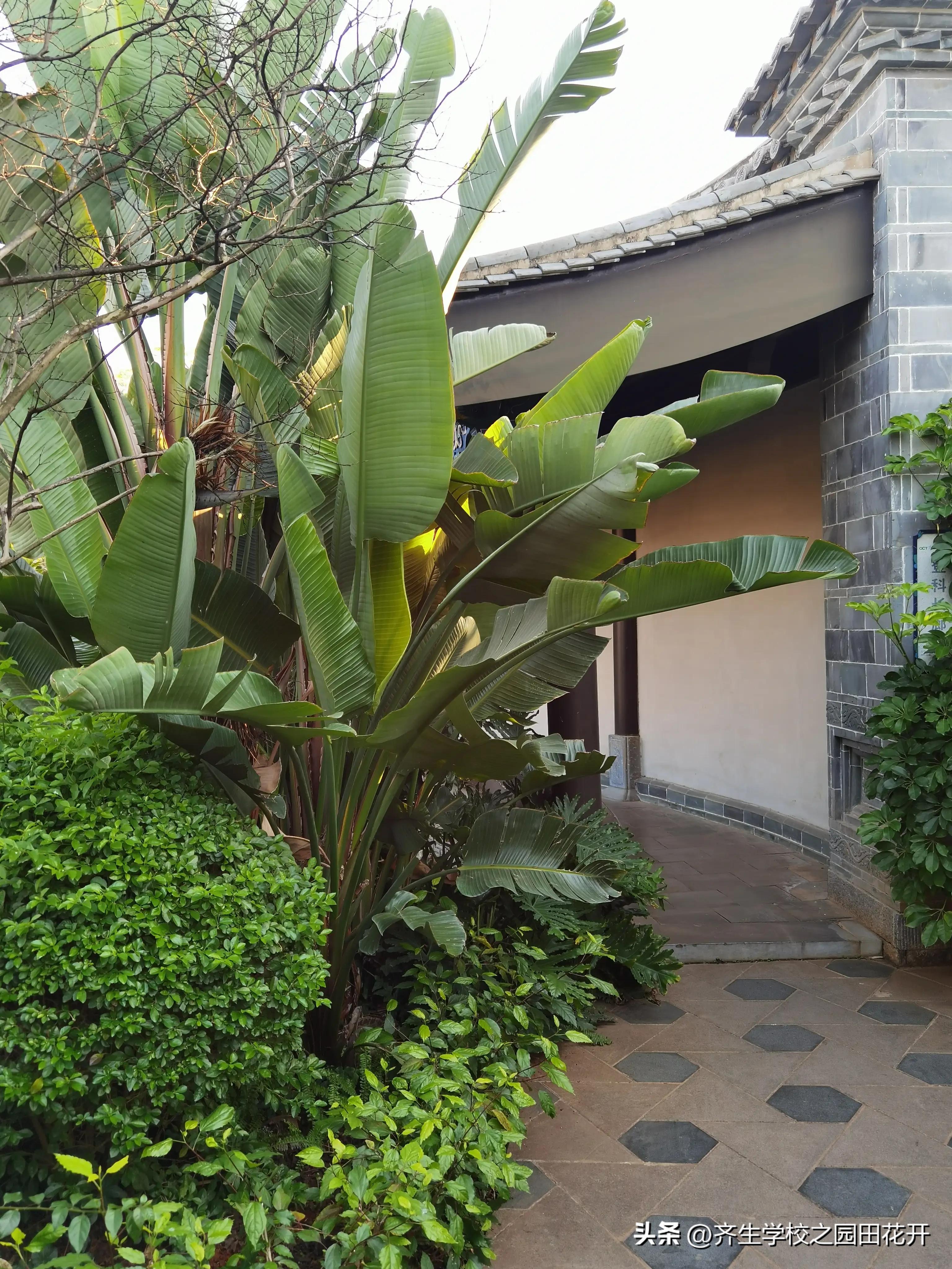 涨知识园林景观设计风格欣赏,园林景观设计的造景手法