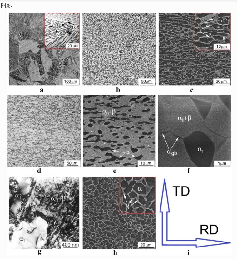 应变速率对Ti基T110合金力学行为和组织演变的影响