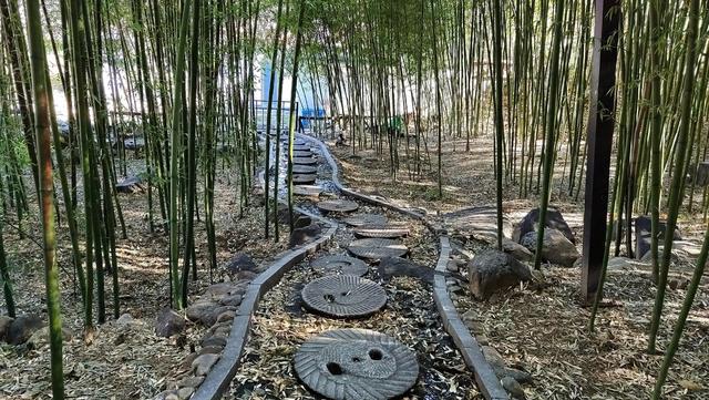 安泰聊城最新消息,安泰最近的新闻