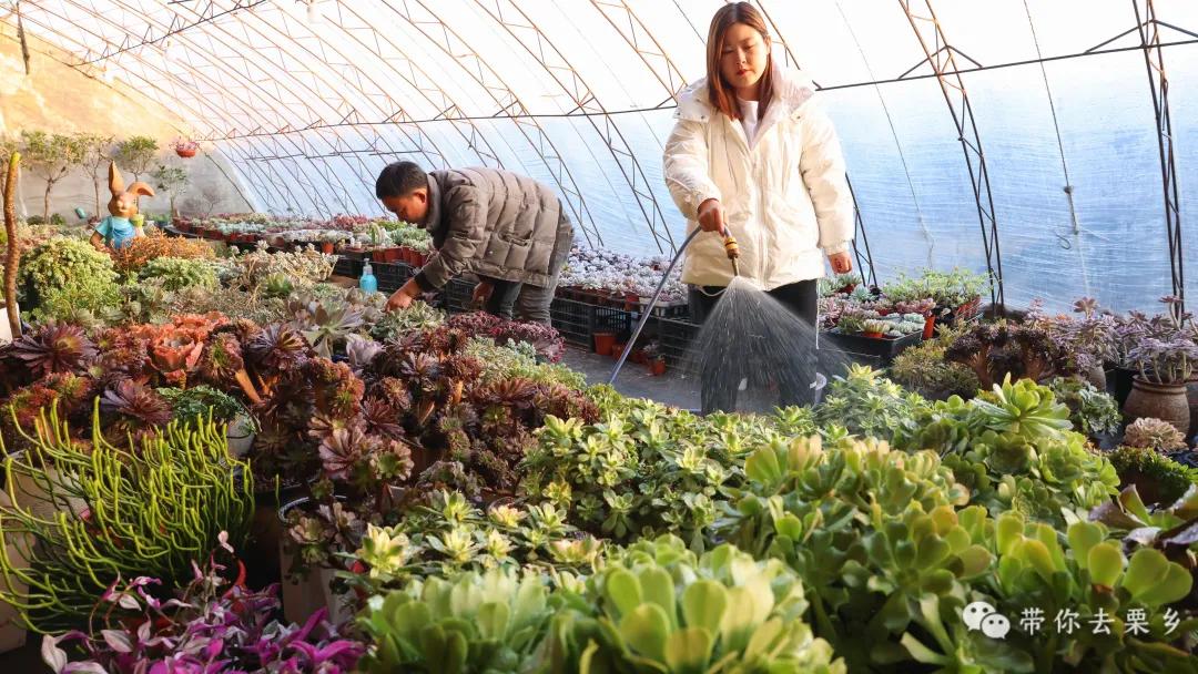 卖萌经济的生意经,卖萌致富