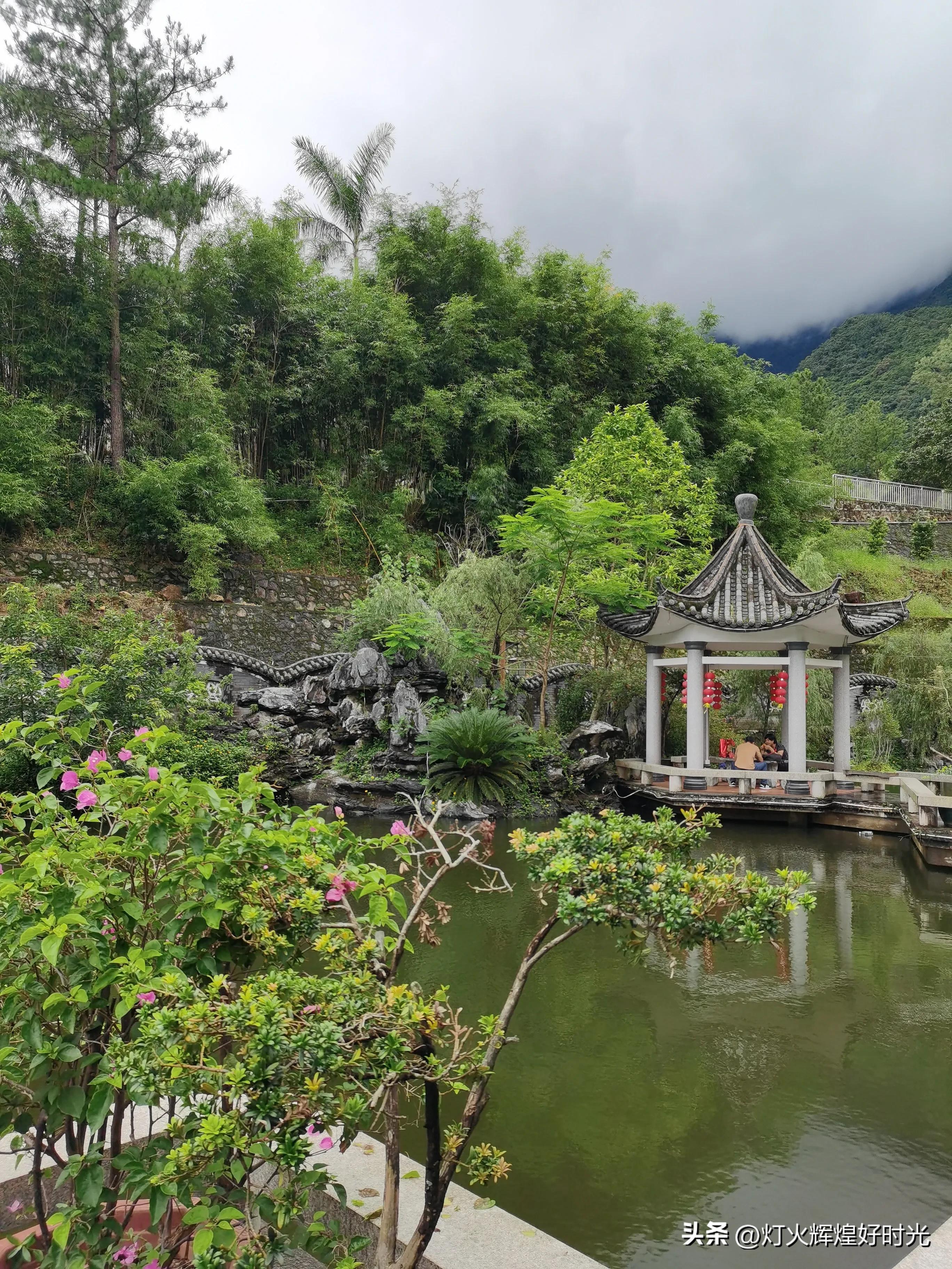 夏日掠影,雨天花开,人见人爱