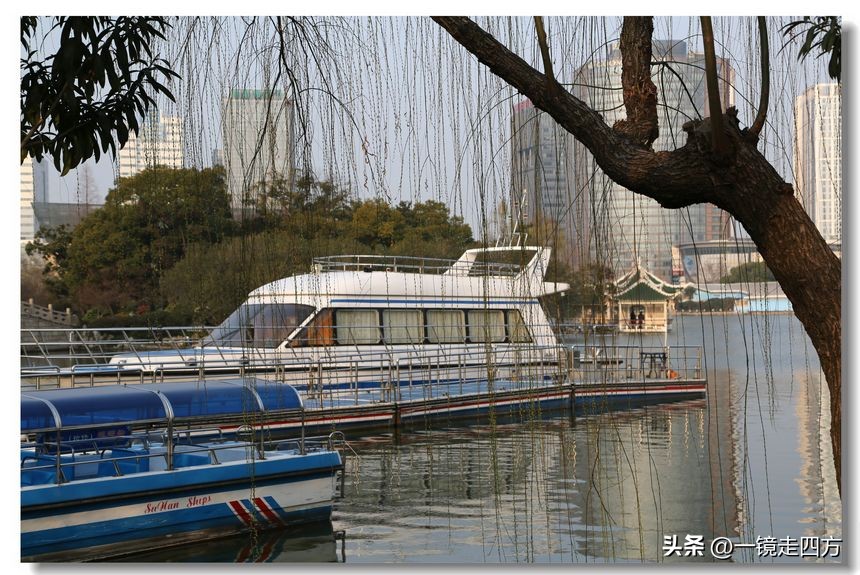 上海长风海洋公园和自然博物馆,上海长风公园占地面积