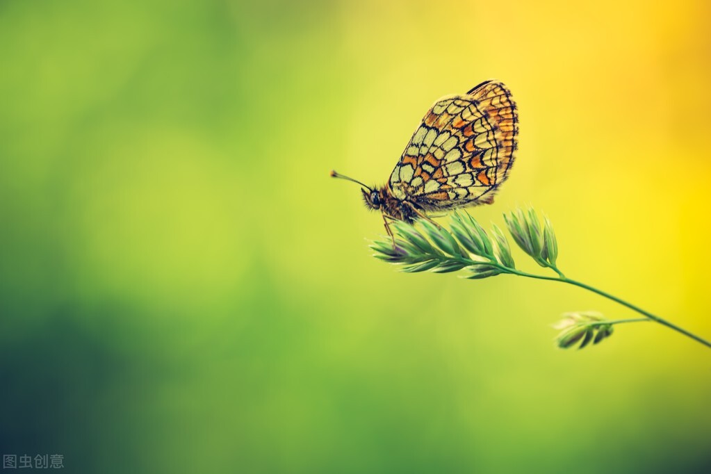 求求了！不要用如此作死的方法去试探医生的良心