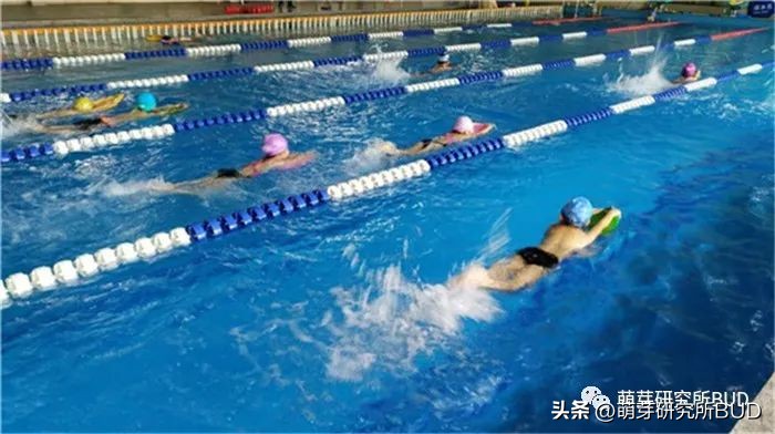 适合孩子报的兴趣班前10名排行榜,适合4-15岁小孩子报的兴趣班排名