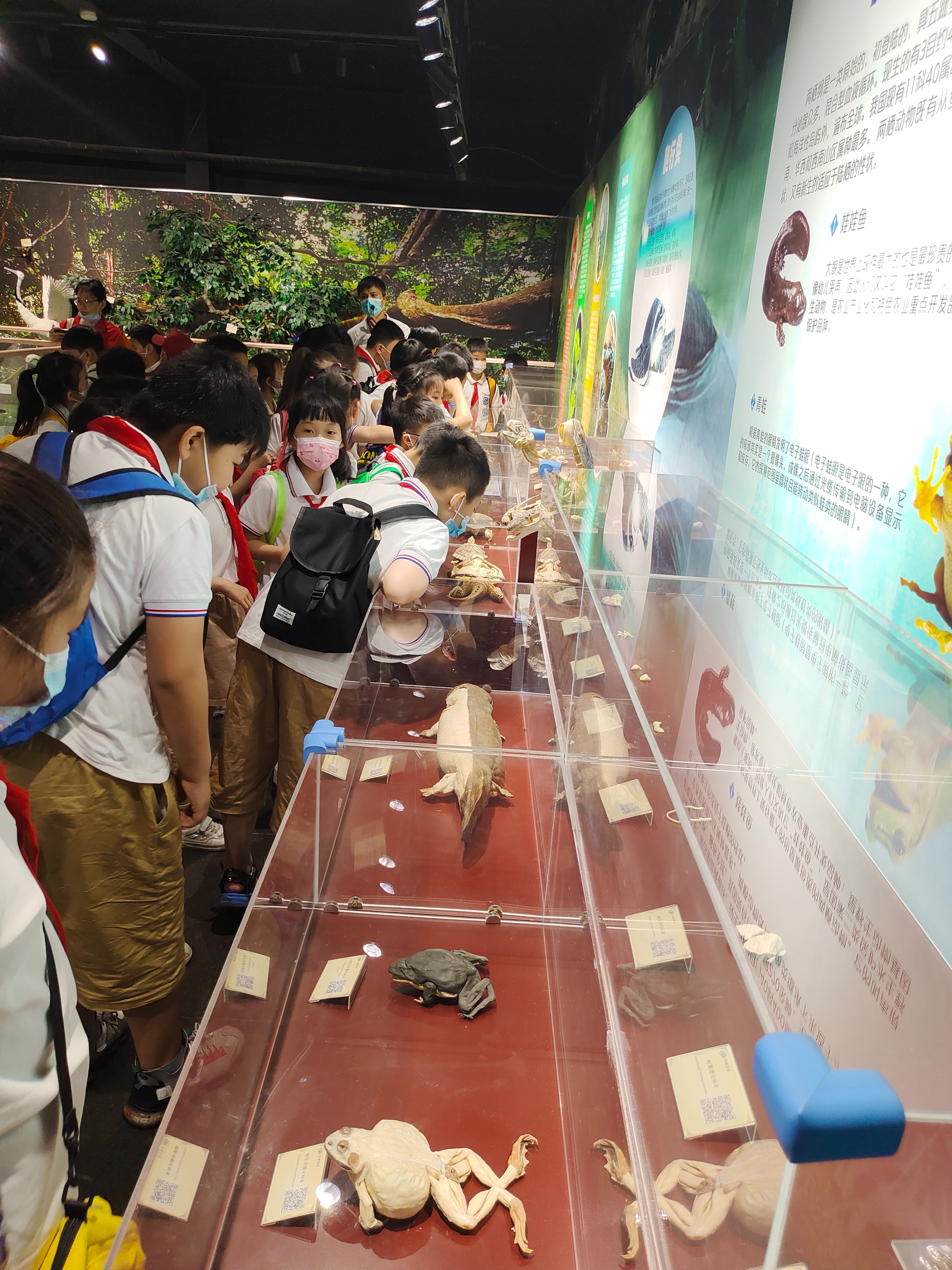 郑州生命自然科学馆,生命科学馆之旅