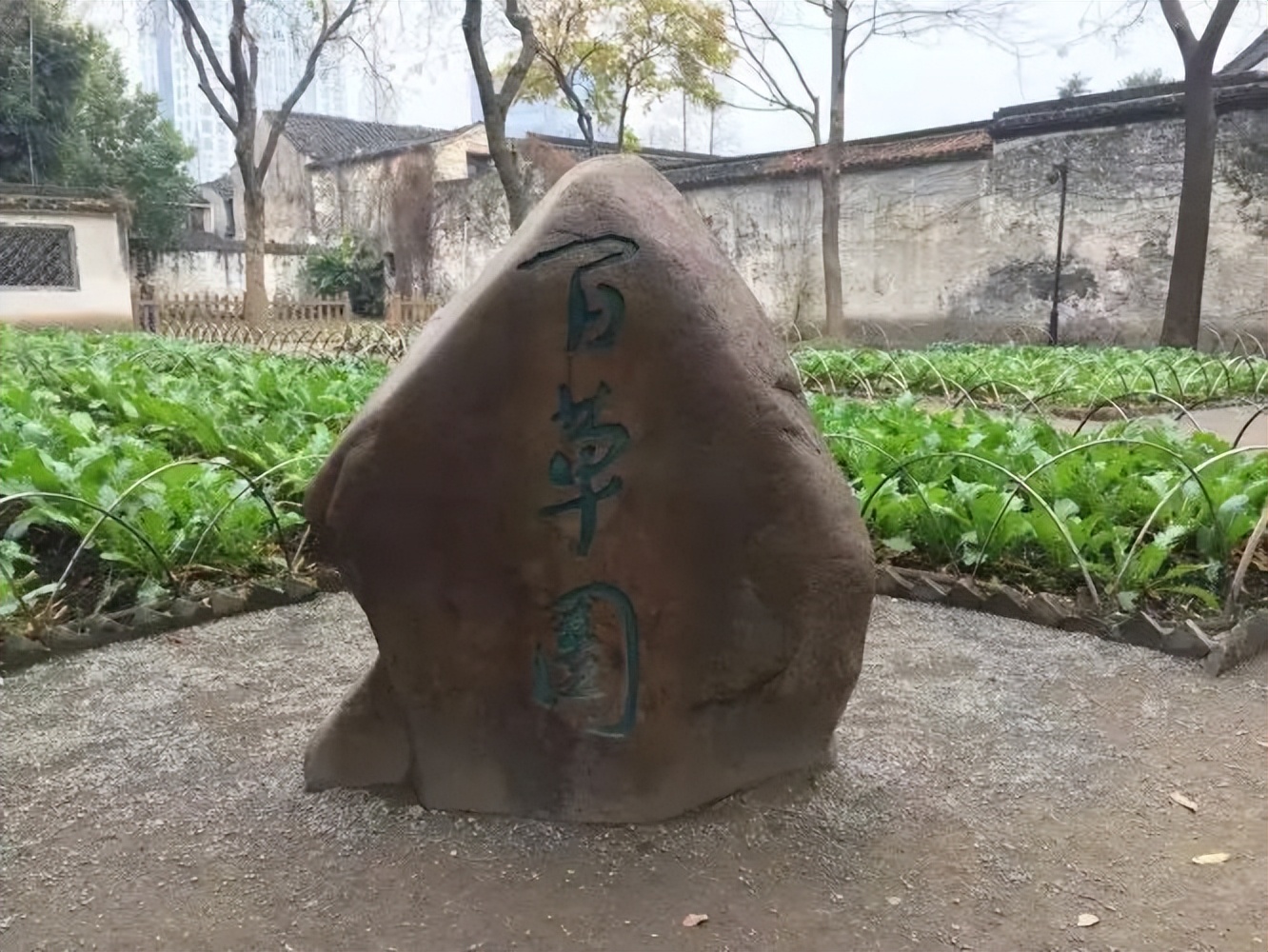 踏迹寻音绍兴：东南山水越为首天下风光数会稽