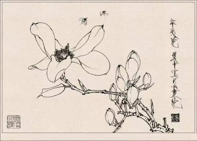 工笔草虫白描王道中,写意花鸟画草虫绘画过程分享