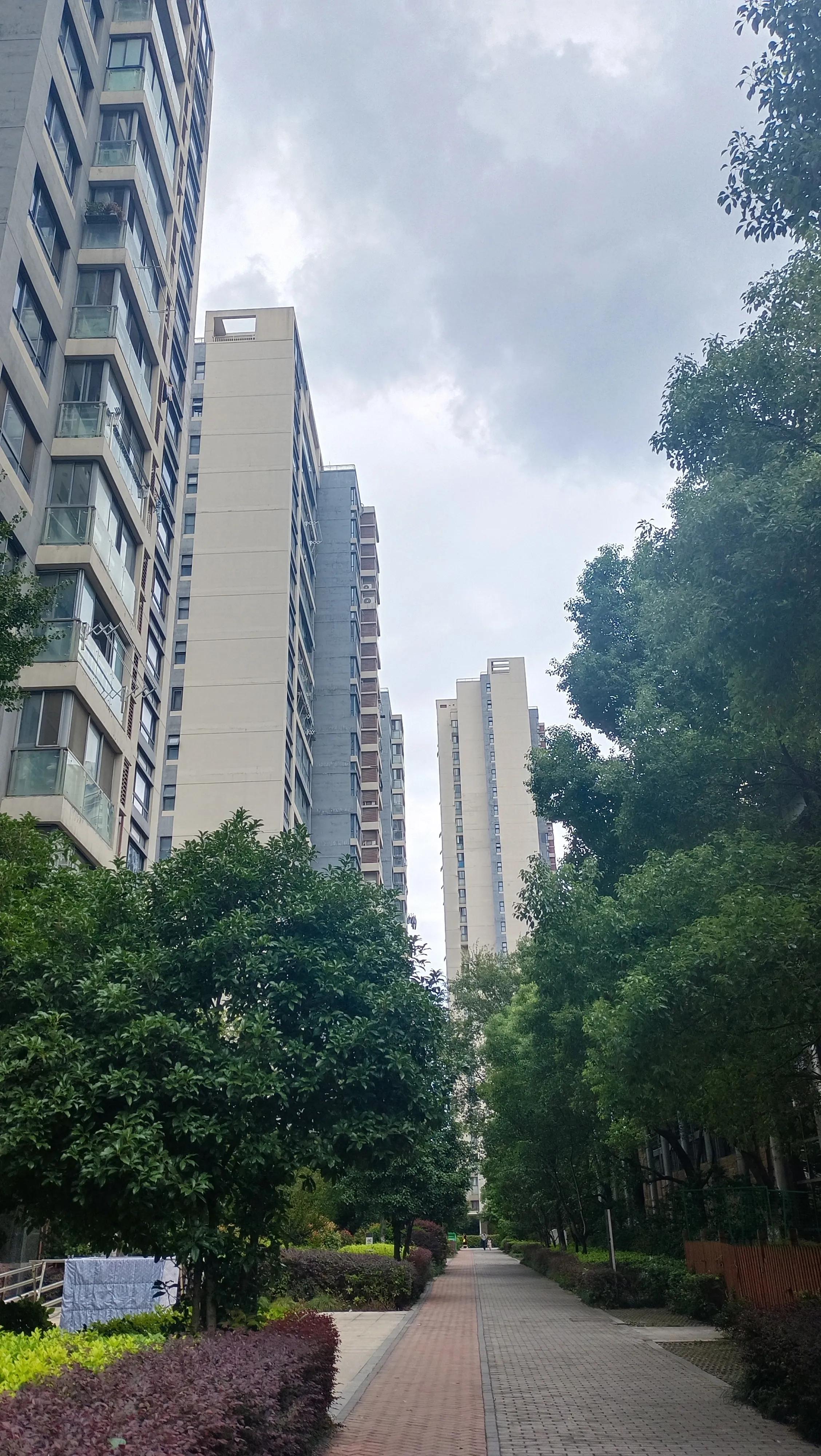 心慌心悸焦虑不安失眠有什么食疗,心悸失眠焦虑吃什么药