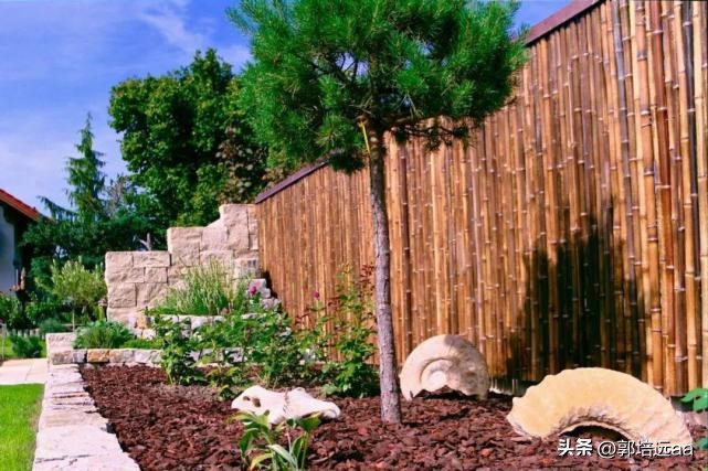 钢、竹、藤在混凝土中作钢筋的比较研究：拉伸和弯曲特性