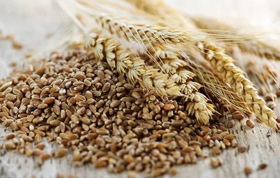 年份酒绿色是什么原因,有年份的酒为什么是绿色的