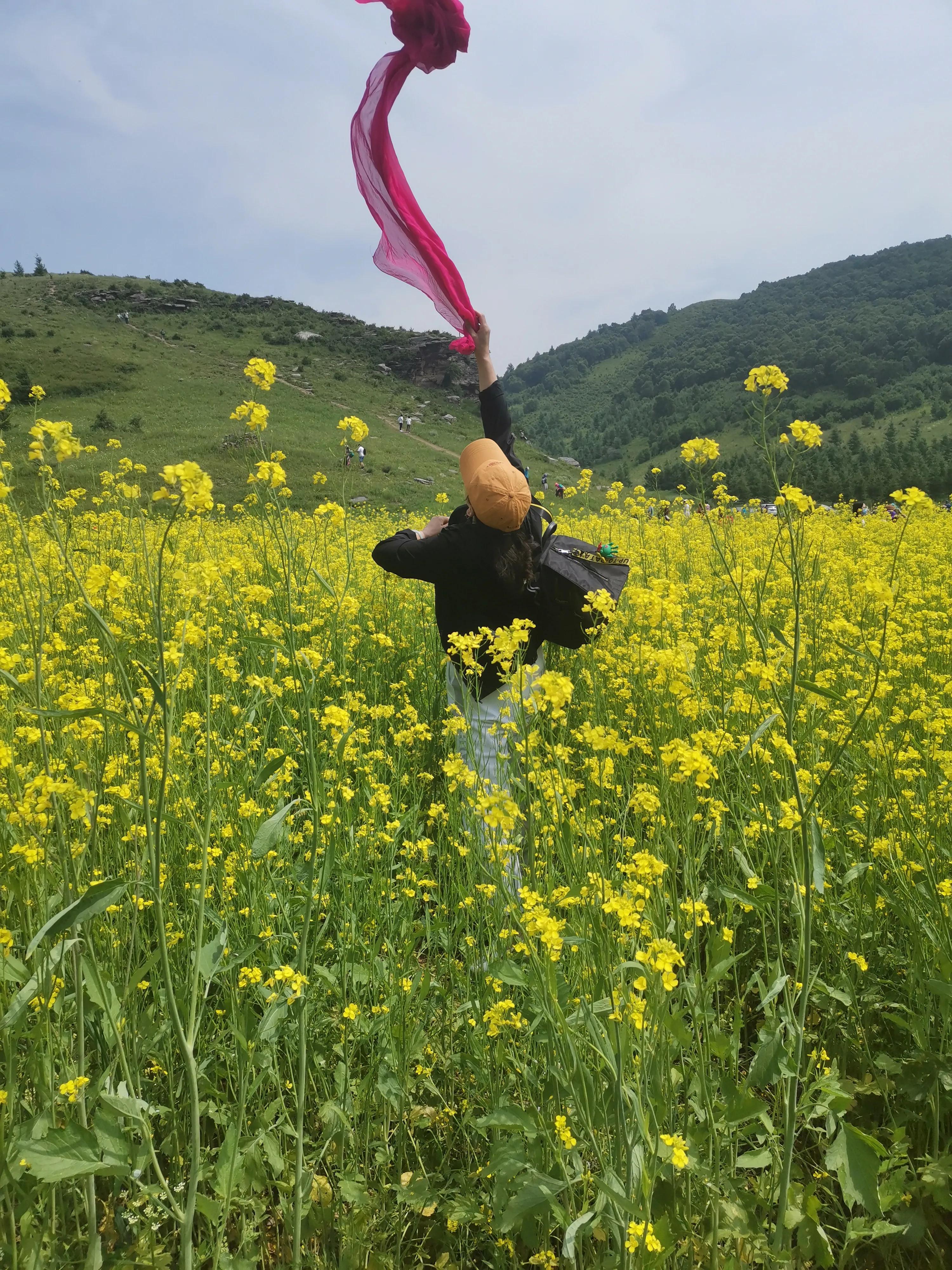 现在海南是一个好地方吗,海南很好吗