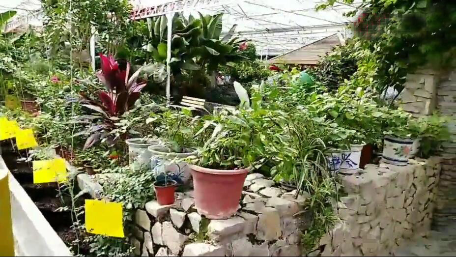 珠海旅游攻略自驾游亲子游,珠海亲子自驾游好去处推荐