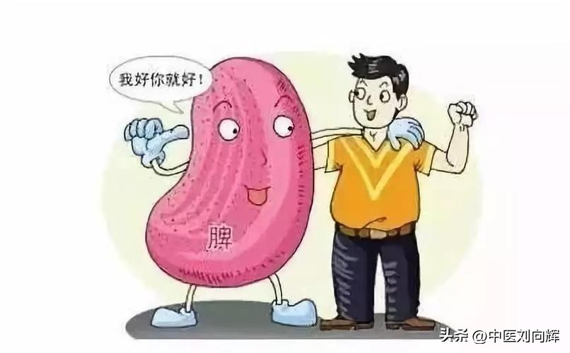 脾胃虚弱多半有这六种表现,脾胃虚弱的人一般会有6种表现