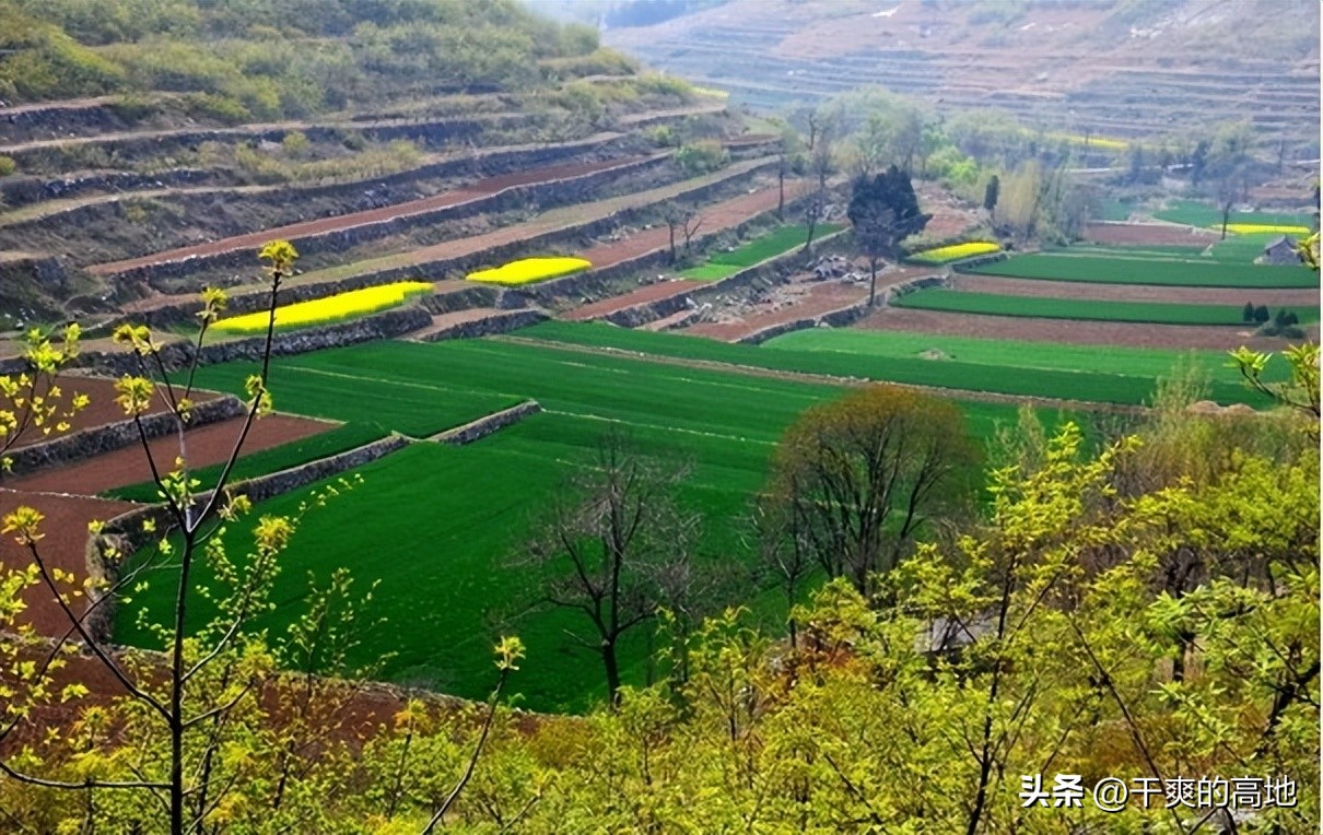 散文|王磊斌:外婆山