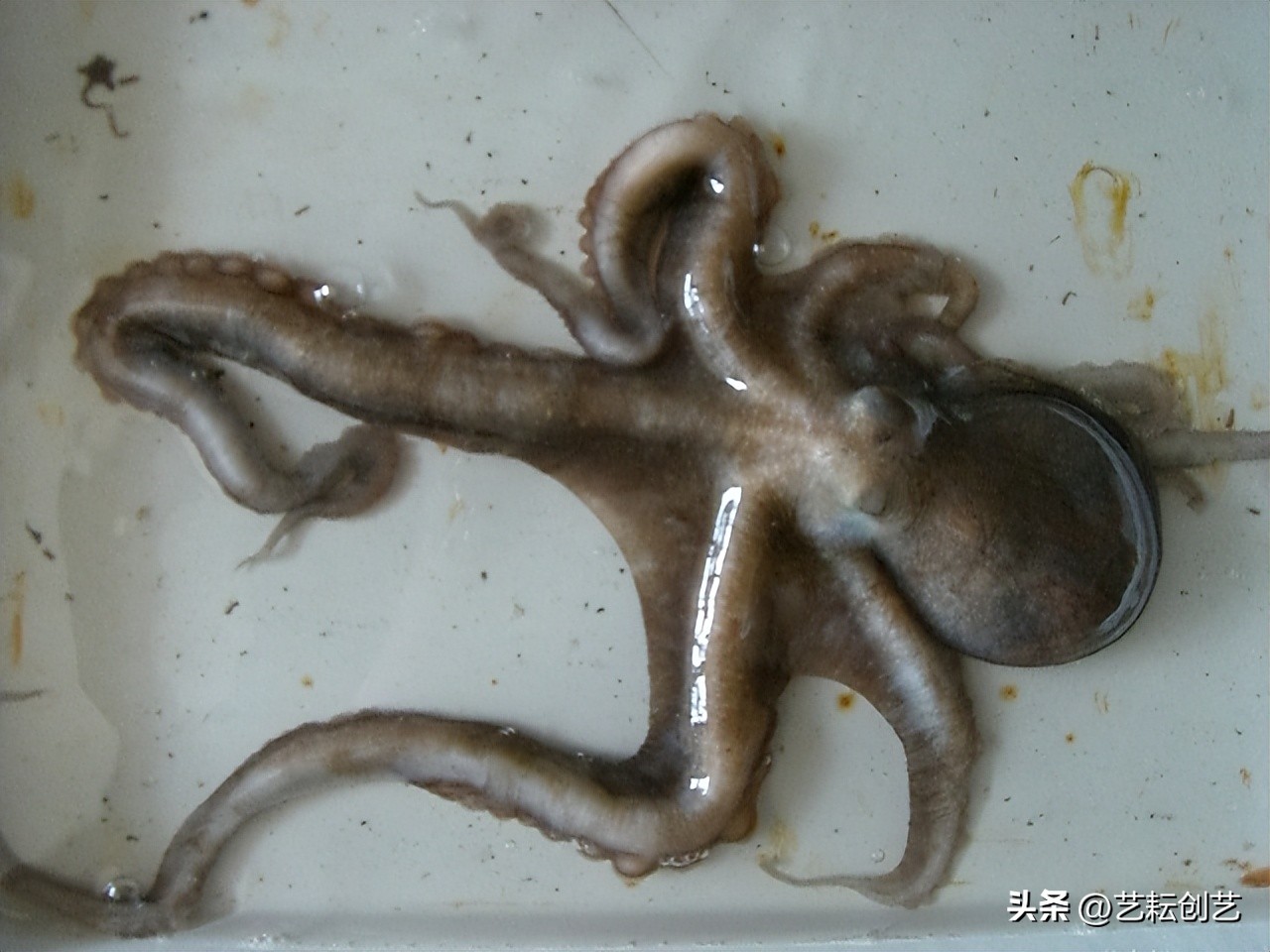 辽宁省地理标志目录,全国地理标志农产品