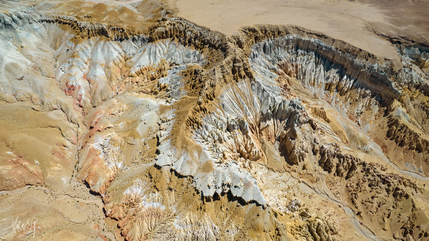 我的2022年度报告,我的2022原版