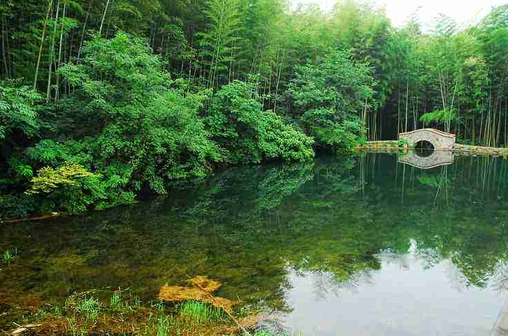 南京春游推荐石塘竹海景区,南京石塘竹海怪坡