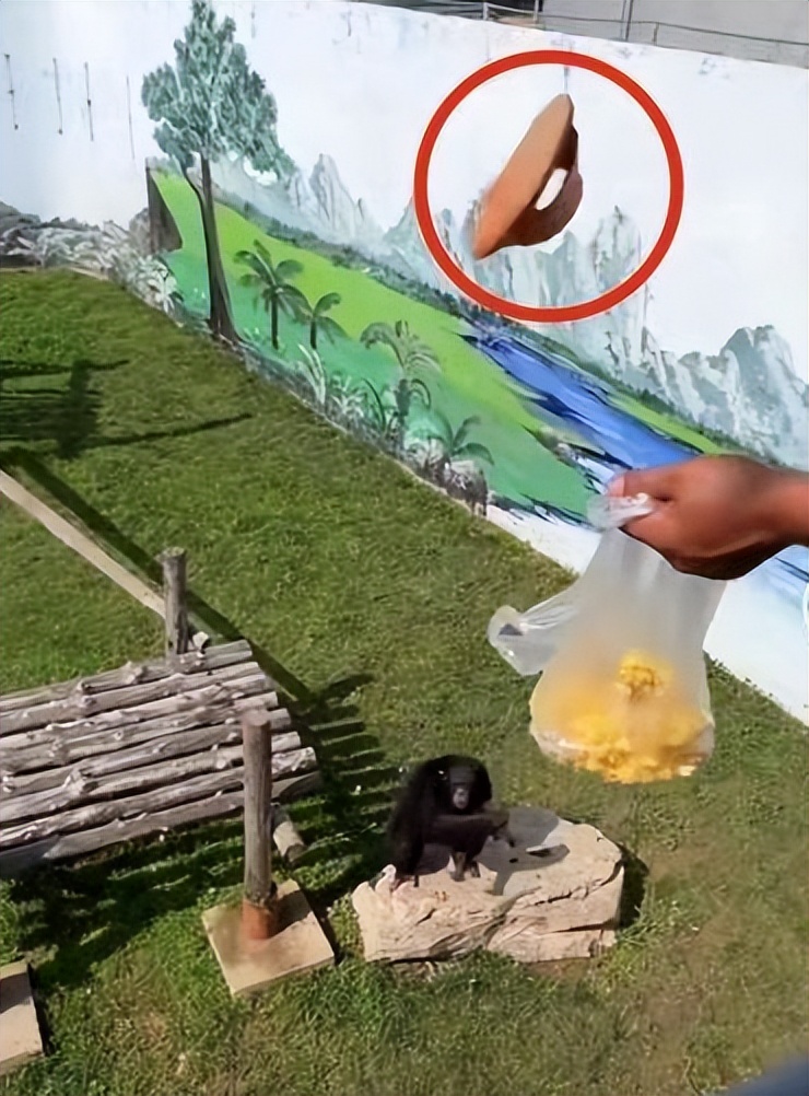 传佩洛西今晚抵台/东部战区重磅发布:埋葬一切来犯之敌/永城市实施临时管控/郑州8岁女孩离世捐器官救5人