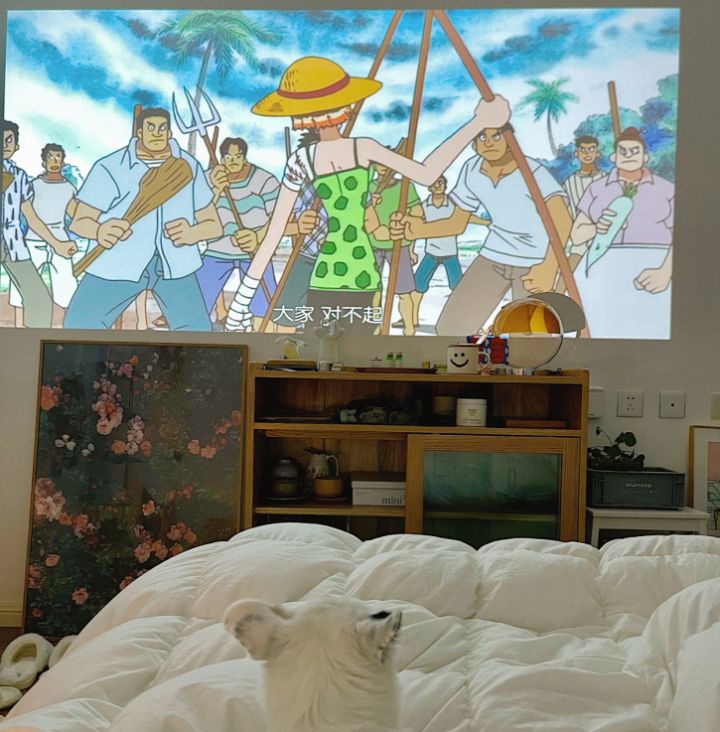 投影仪究竟值不值得投入？用过3台以后，谈谈我的真实感受