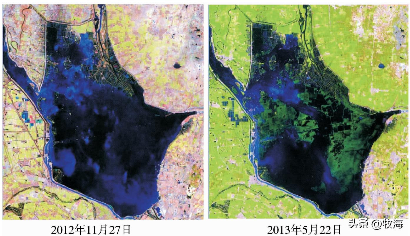 骆马湖菹草爆发原因,骆马湖采砂纪录片