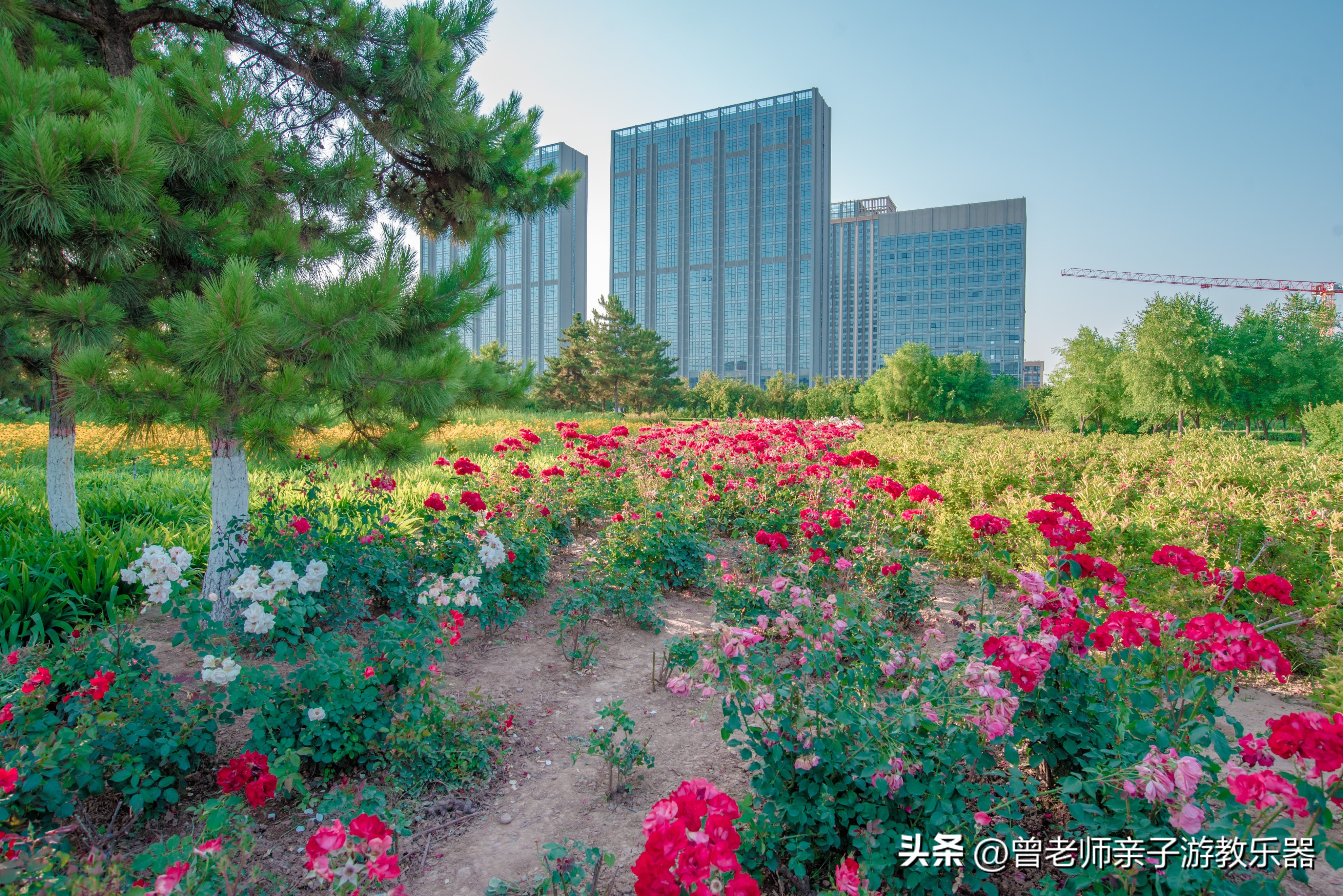 西安旅游景点免费推荐一日游攻略,西安旅游必去景点推荐一日游免费