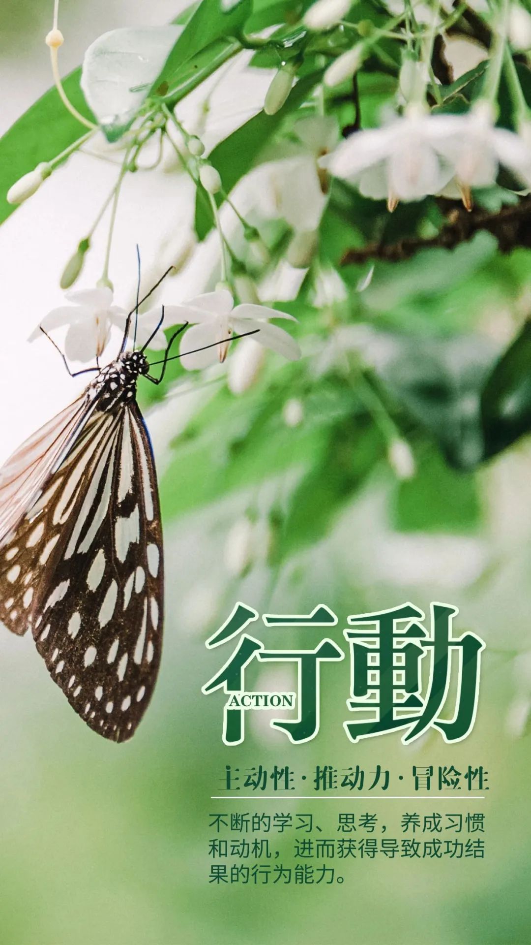 早安心语正能量经典一句话图片,2022早安心语简单一句话