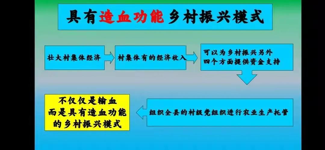 现代化农业生产经营模式,农业农村托管新模式