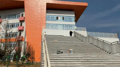 名校名企联手打造区域教育新高地,打造比肩东西海的教育强区