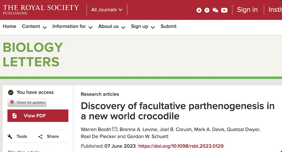 科学家记录鳄鱼首次孤雌生殖,美国雌性鳄鱼