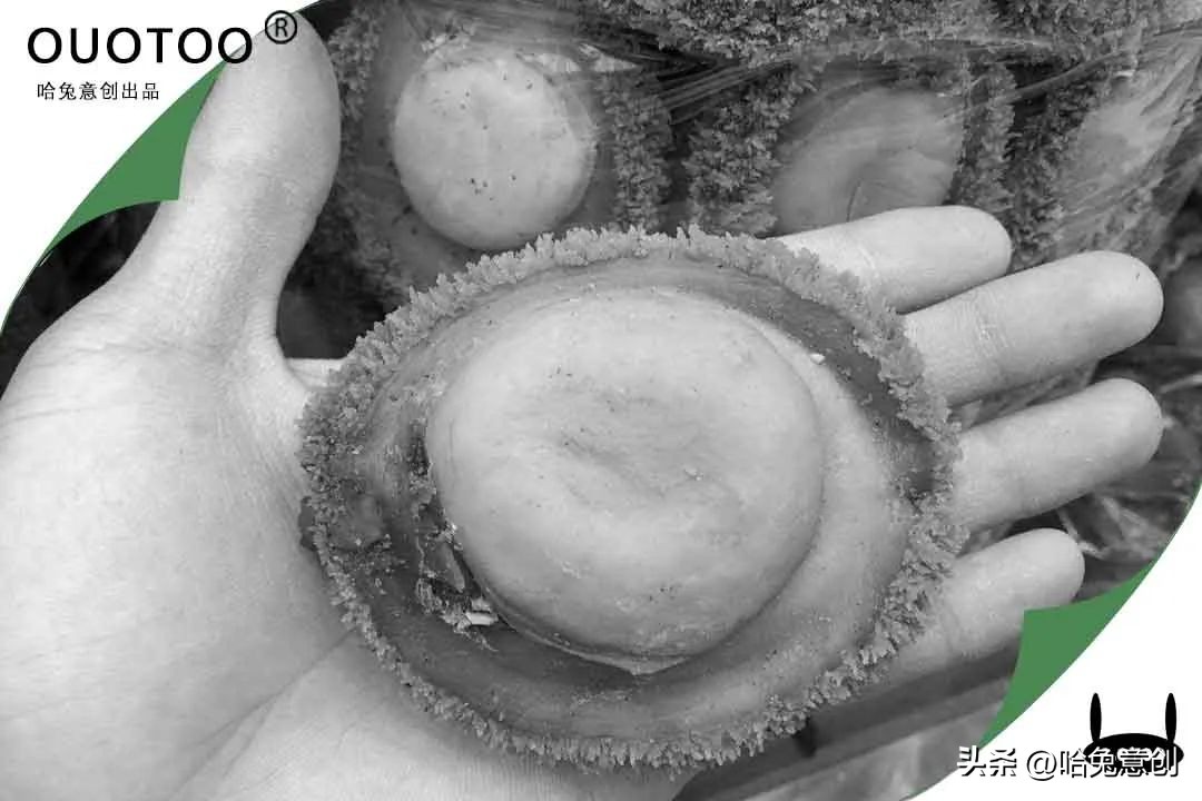 41万天价账单刷屏网络：干鲍的珍贵，超乎想象