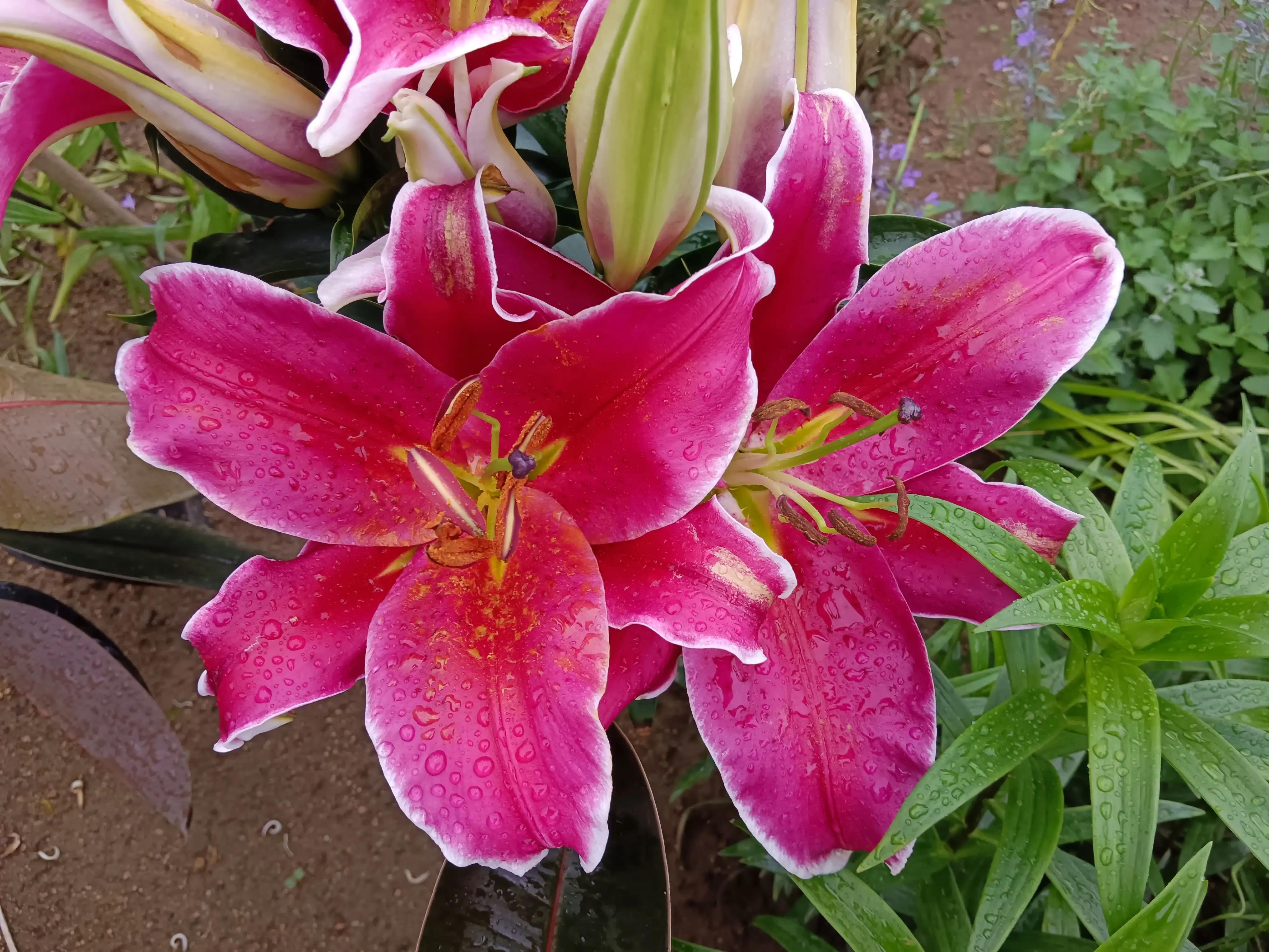 山字飞花令500句,山字飞花令大全