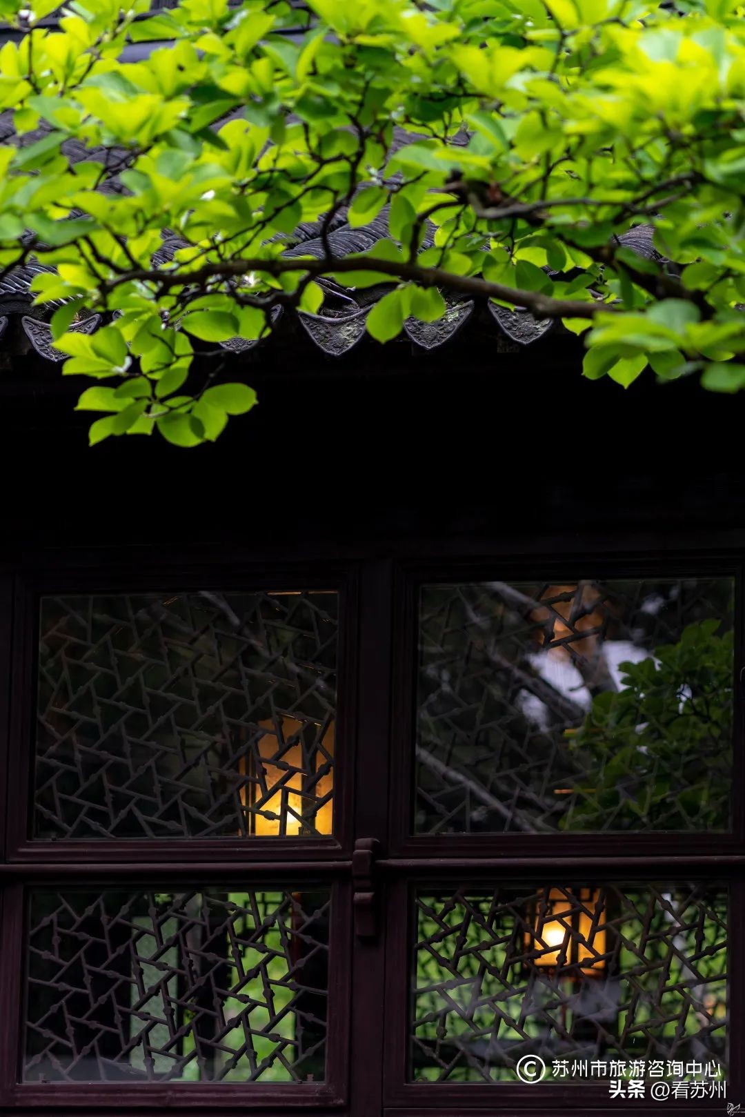 苏式园林庭院壁纸,苏州园林之夜壁纸