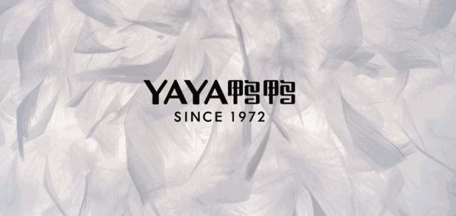 五十年品牌历史,50年中国服装品牌