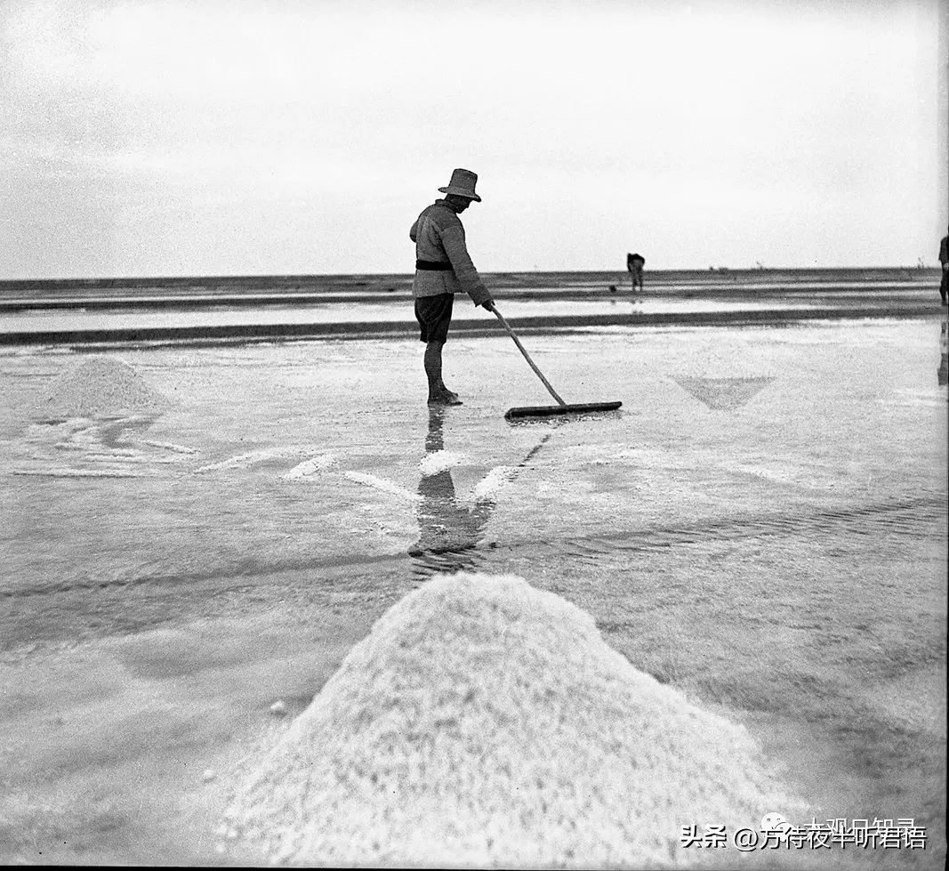 万里追踪纪录片完整版,1937年万里猎影记
