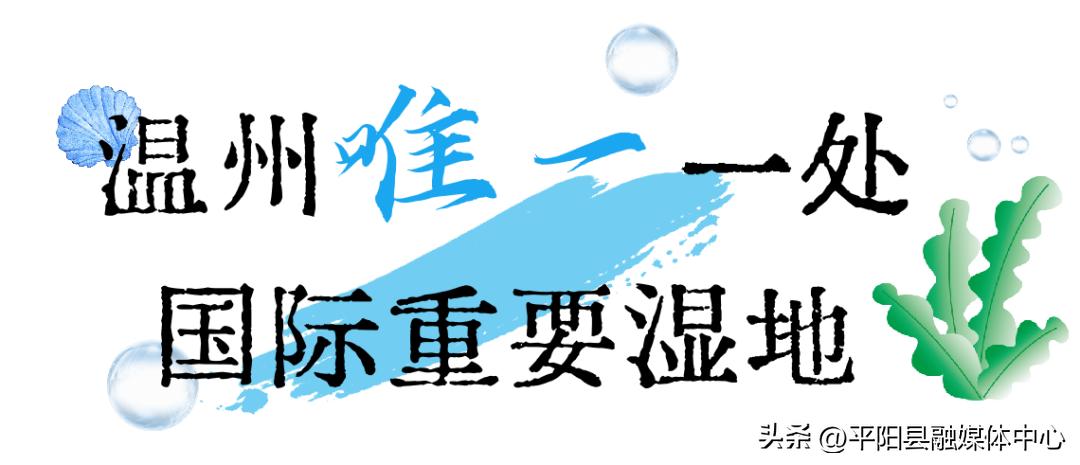 南麂岛哪个位置最好,坐拥八大出海口