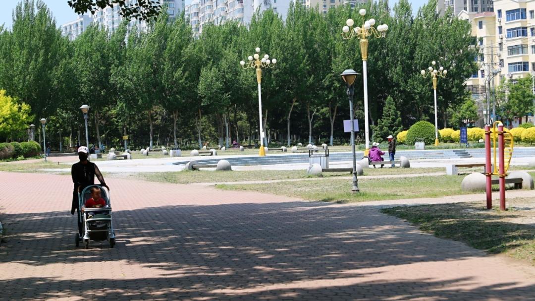 养狗人的视频,养狗人皮肤过敏的症状和表现