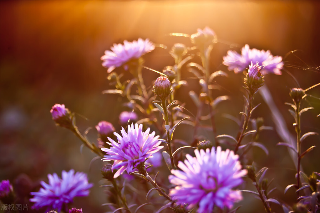 果十三,果十三护肤