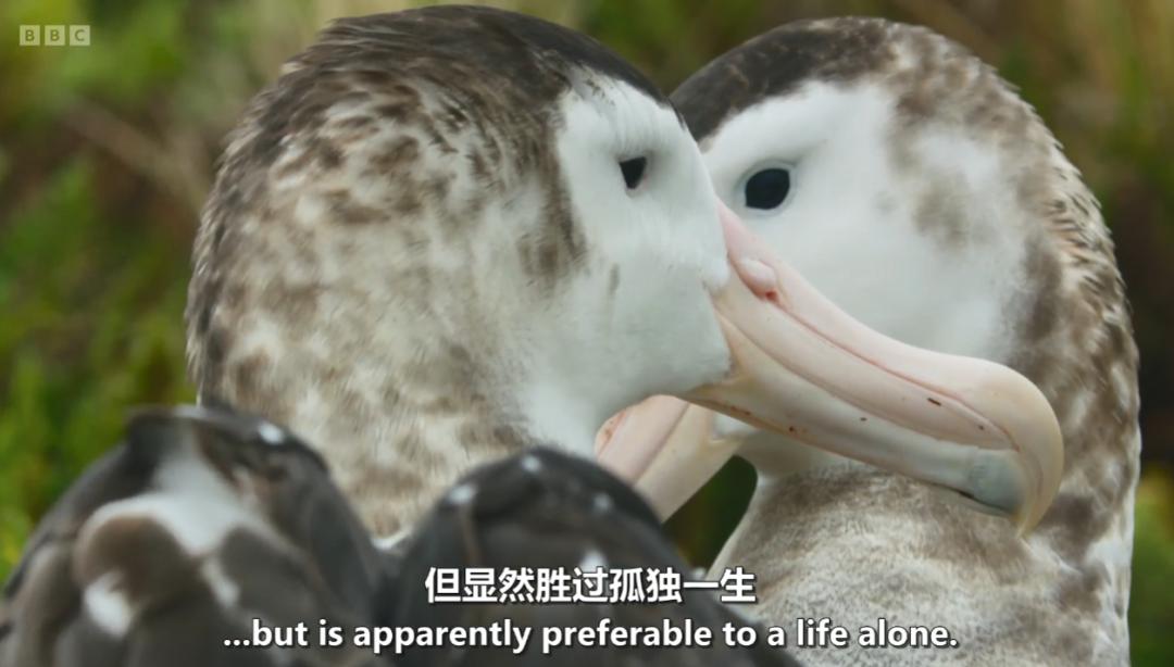 模范夫妻离婚了吗,再恩爱的夫妻最后都会离婚吗