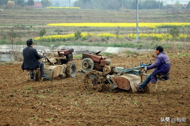 苏北农业补贴2020粮食补贴,农村种植大户粮食补贴每年都补吗