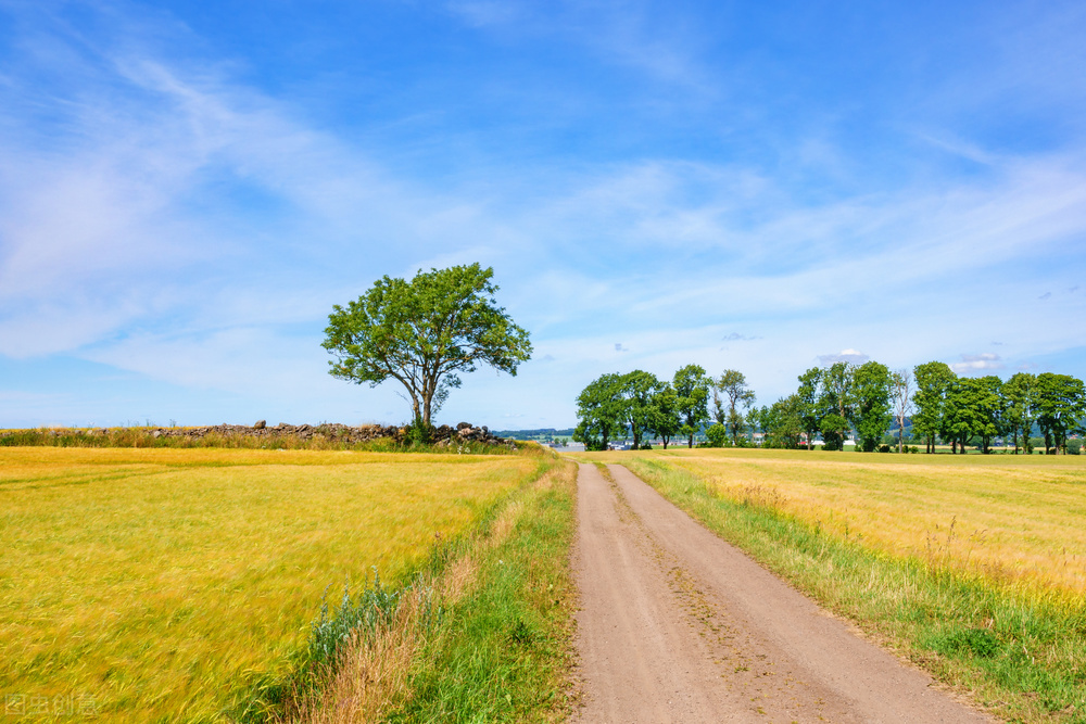 古代男女配对口诀,女不嫁三花男不娶四白什么意思